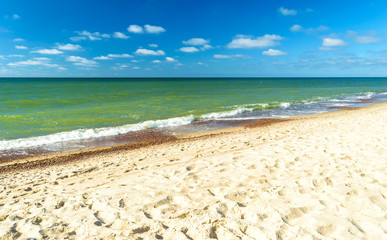 Sandy beach of the sea coast