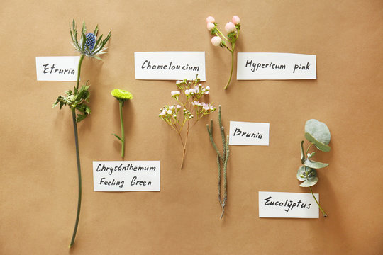 Collection of flowers on beige background