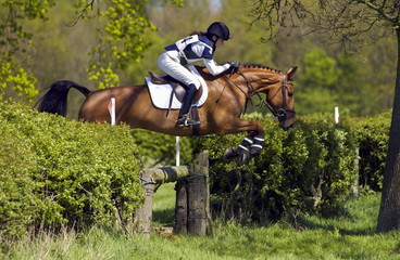 Young woman rides a dark bay horse in a cross-country eventing competition, Gloucestershire