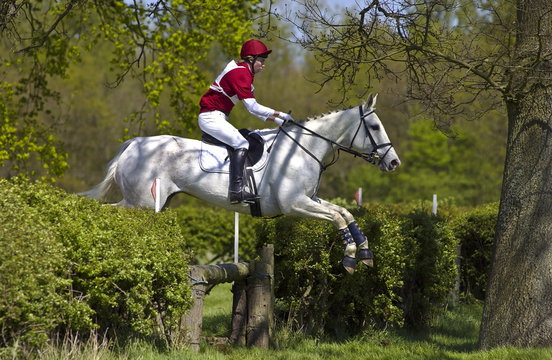Young man rides a grey mare horse in a cross-country eventing competition