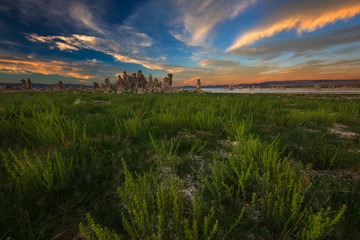 Grass and Tufas During Sunset