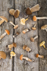 Raw mushrooms on a wooden table. Boletus edulis and chanterelles
