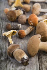 Raw mushrooms on a wooden table. Boletus edulis and chanterelles