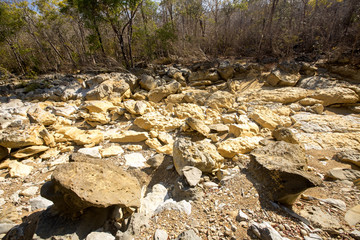dry river bed during drought,  reservation, Madagascar