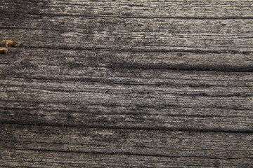 abstract texture of old wooden