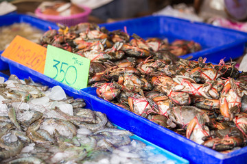Seafood Market in Thailand