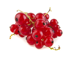 red currant