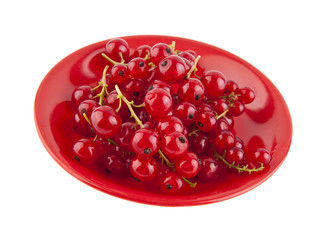 red currant