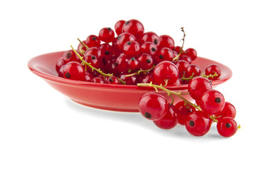 red currant