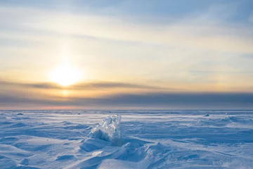 Foto op Plexiglas Besneeuwde landschap, ijs, wind en sneeuwstorm, extreme kou. © river34