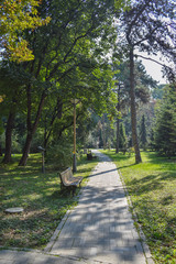 Benches in the park on the sunny autumn day