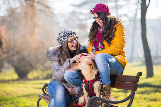 People and dogs outdoors. Beautiful and happy girls enjoying in autumn park siting with his Dog..Colored photo