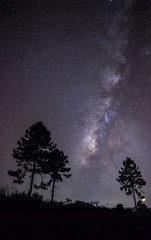 Fototapeta na wymiar Milky Way and silhouette tree