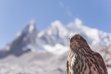 Eagle and Snow mountains