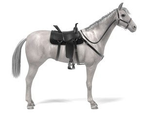 realistic 3d render of horse