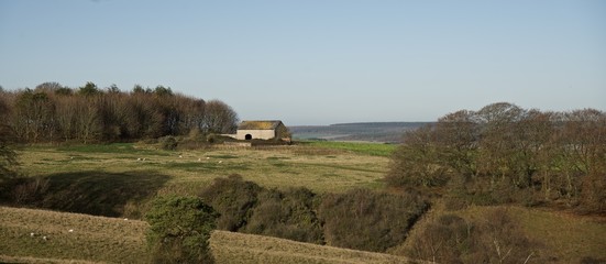 Pastoral scene with old barn