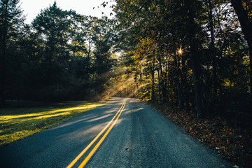 Fototapeta premium Fall Roadtrip