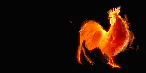 Year fire rooster. © tangoas