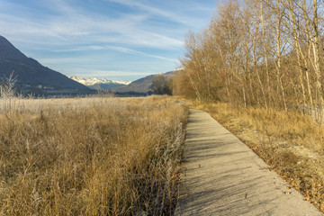 park, forest with frost, winter landscape