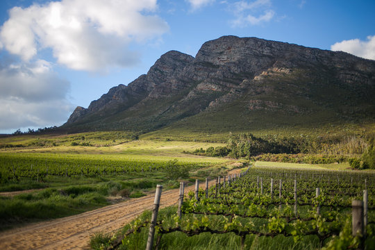 Dramatic light over the winelands of the breede valley in the western cape of south africa