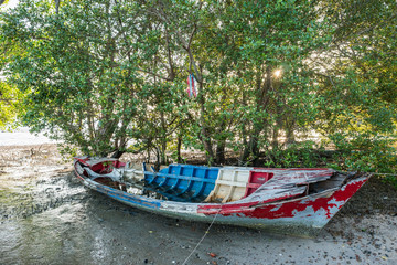 Fototapeta na wymiar Boat wreck with Mangroves.
