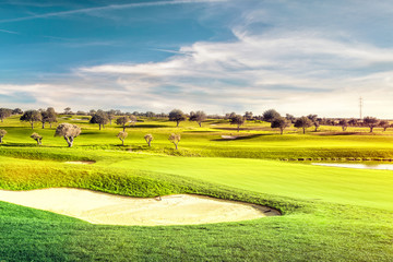 golf field landscape
