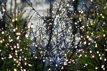 Christmas lights, selective focus, beautiful bokeh. 
