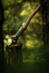 an ax stuck in a stump