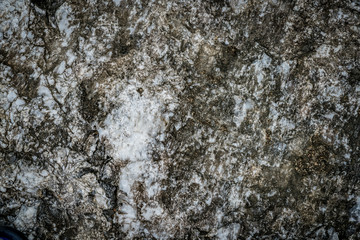 Gray stone texture