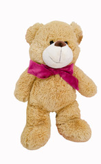 brown teddy bear isolate On a white background  With Clipping path.