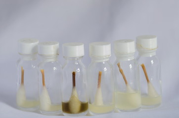 Coliform Bacteria test.