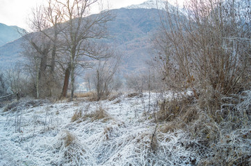 park, forest with frost, winter landscape