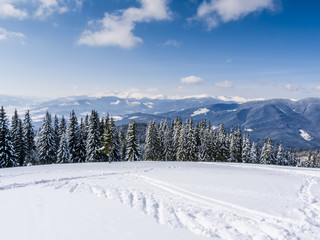 Winter in Carpatian Mountains. Ukraine. Sunny day.