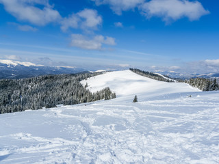 Winter in Carpatian Mountains. Ukraine. Sunny day.