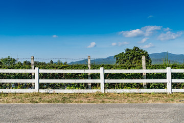 White farm's fence