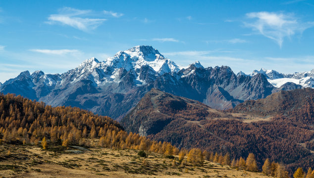 Disgrazia Bilder Durchsuchen 642 Archivfotos, und