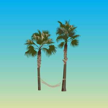 Palm trees with a hammock