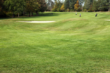 Golf Course - Luxury International Standard