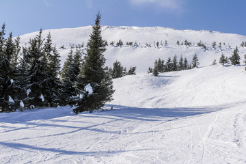 Winter in Carpatian Mountains. Ukraine. Ukraine. Sunny day.