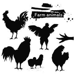 Silhouette birds family