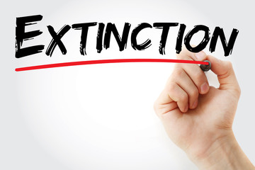 Hand writing Extinction with marker, concept background