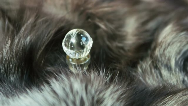 Vintage bottle of perfume in a fur of a silver fox