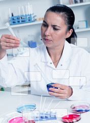 Young Female Scientist Analyzing Sample In Laboratory.laboratory assistant analyzing a sample