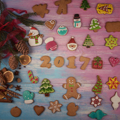 Different ginger cookies 2017 year