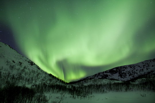 The Aurora Borealis, the spectacular Northern Lights fill the sky with dazzling green light above Kvaloya island at Tromso in the Arctic Circle in Northern Norway