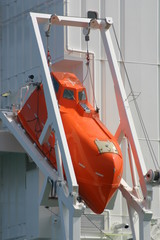 rescue