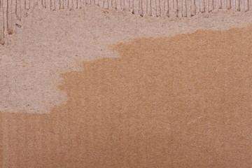 cardboard background and texture