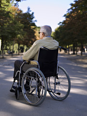 Obraz premium Elderly person, in a wheelchair