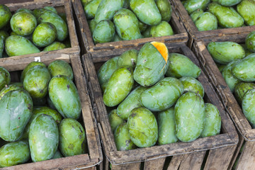 Mango Fruit shop in Sri Lanka