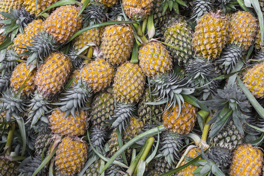 Fresh pineapple in local market  in Kandy, Sri Lanka. Background